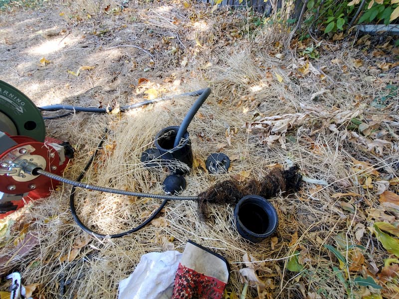 Tree root removal in denver co